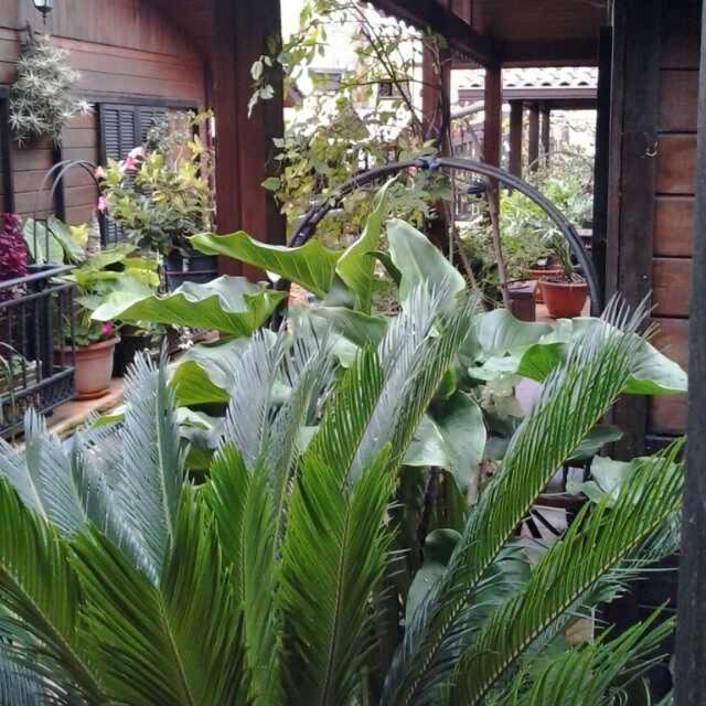 Cabanas Valle Verde Moya  Luaran gambar